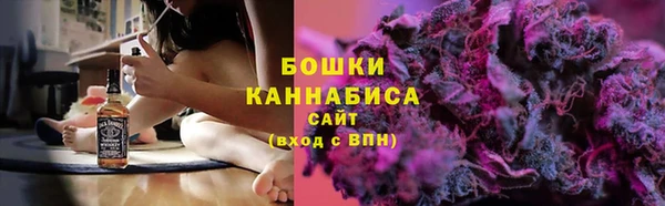 первитин Новозыбков