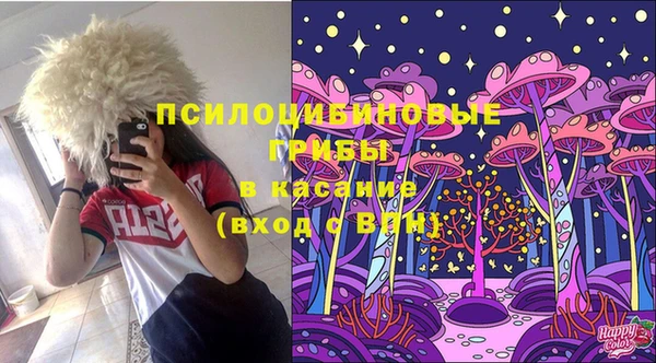 дмт Нея